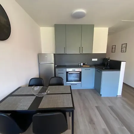 아파트 Cerna Ruze- 5 플젠