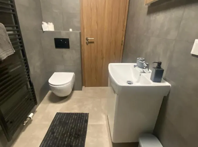 Cerna Ruze- 5 Плзень