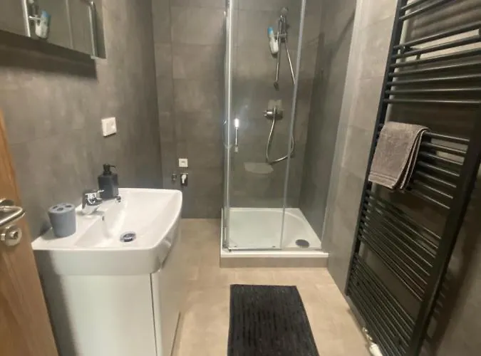 Cerna Ruze- 5 Apartament Pilzno