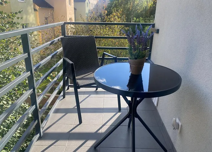 Apartament Cerna Ruze- 5